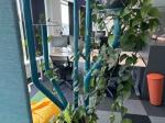 Plant stand blue