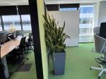 Free standing panel black and green L