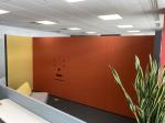 Acoustic walls orange U